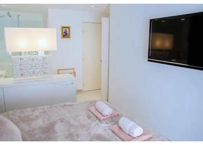 Les Gregoriennes T2 Climatise Centre-terrasse-parking-wifi Διαμέρισμα