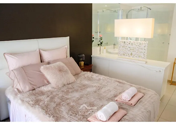 Les Gregoriennes T2 Climatise Centre-terrasse-parking-wifi Apartamento *